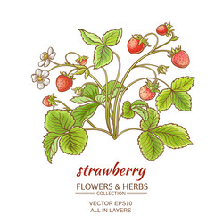 Similar image 17245273