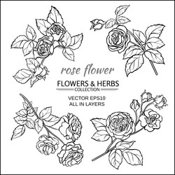 Similar image 17245276