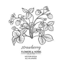 Similar image 17245290