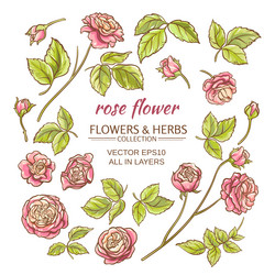 Similar image 17245294