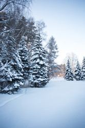 Similar image 16924649