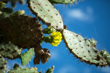 Similar image 16924653