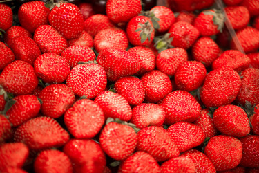 Similar image 16924658