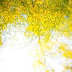 Similar image 16924672