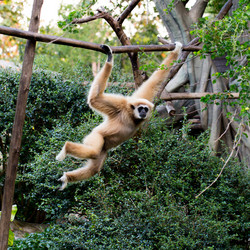 Similar image 16924618