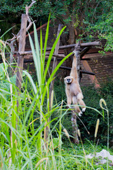 Similar image 16924619