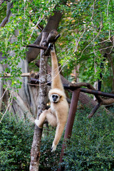 Similar image 16924623