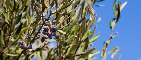 Similar image 16924660