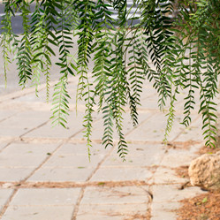 Similar image 16924670