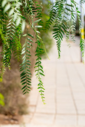 Similar image 16924674