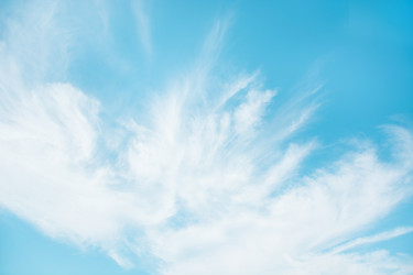 Similar image 16926002