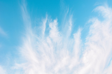 Similar image 16926108