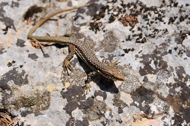 Similar image 16924040