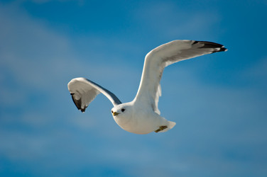 Similar image 16927309