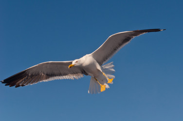 Similar image 16927273