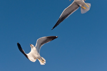 Similar image 16927274