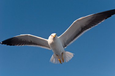 Similar image 16927276