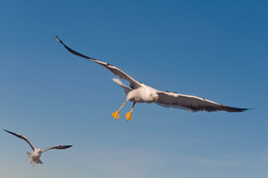 Similar image 16927288