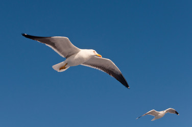 Similar image 16927291