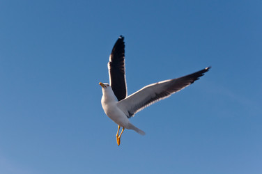 Similar image 16927292