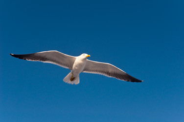 Similar image 16927299