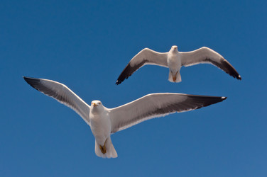 Similar image 16927300