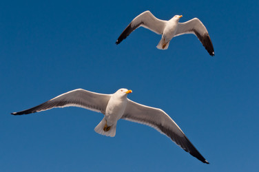 Similar image 16927301