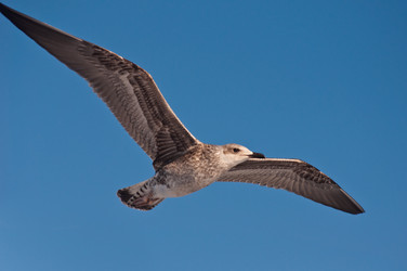 Similar image 16927302