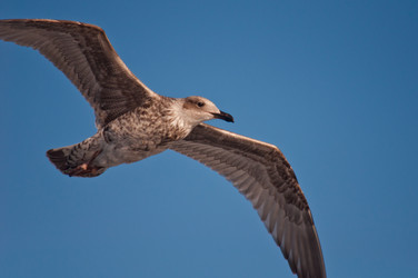 Similar image 16927318