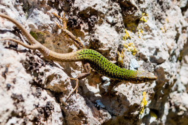 Similar image 16927321