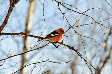 Similar image 16927278