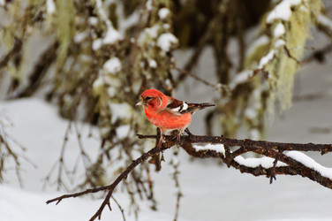 Similar image 16927279