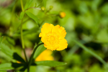 Similar image 16927303