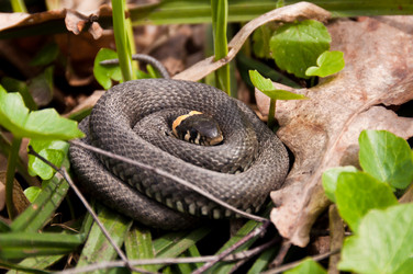 Similar image 16927305