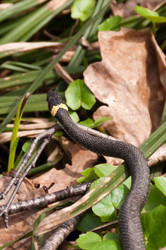 Similar image 16927308