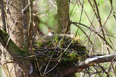 Similar image 16927317