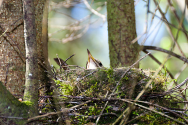 Similar image 16927324