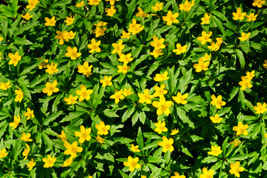 Similar image 16927325