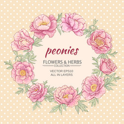 Similar image 17245404