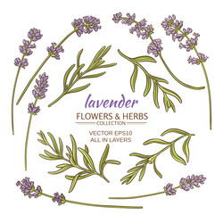 Similar image 17245488