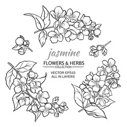 Similar image 17245524