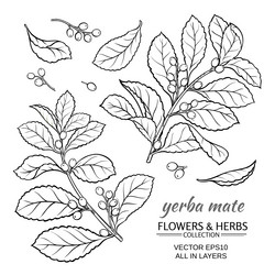 Similar image 17245551