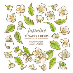 Similar image 17245552