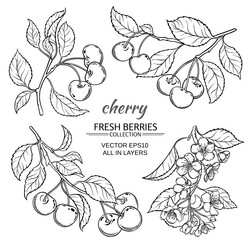 Similar image 17245570