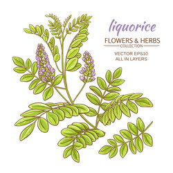 Similar image 17245588