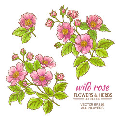 Similar image 17245300