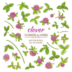 Similar image 17245432