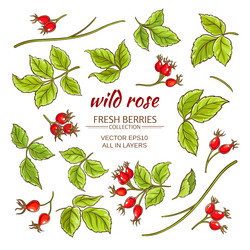 Similar image 17245433