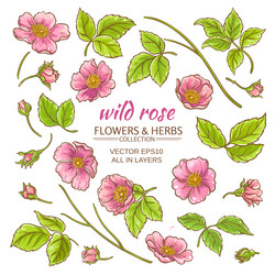 Similar image 17245434