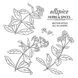 Similar image 17245456